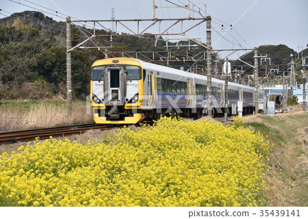 Limited Express Sanzami 35439141