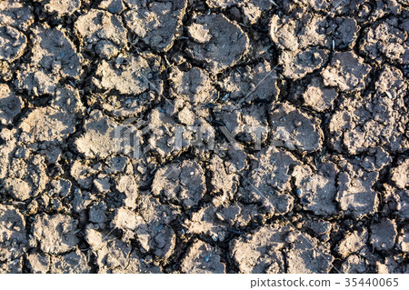 Dry fall ground with cracks 35440065