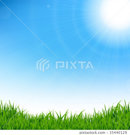 Green Grass Border 35440129