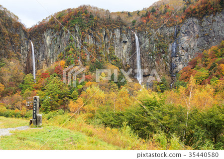 Forest of Yonago large falls foliage of autumn leaves Forest of Yonago large falls foliage of autumn leaves 35440580