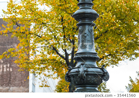 Germany, autumn Berlin, street lights, sly, autumn, street lights, street lights, Germany, autumn Berlin, street lights, sly, autumn, street lights, street lights, 35441560