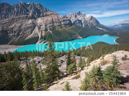 Peyto Lake in Alberta Canada 35441964