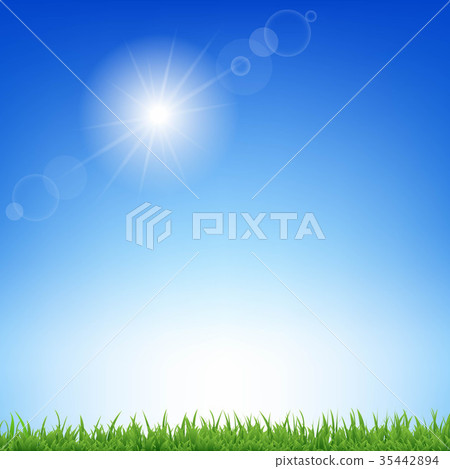 Sunburst And Grass 35442894
