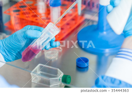Scientist working with a falcon tube 35444363