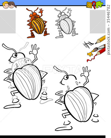 drawing and coloring activity with potato beetle 35446782