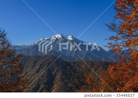 Landscape seen from the autumn tree sea line 35446837