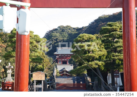 鎌倉鶴岡八幡宮Shurugaokahachimangu-shrine 35447254