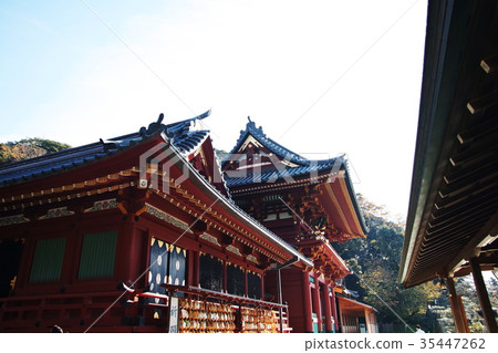 鎌倉鶴岡八幡宮Shurugaokahachimangu-shrine 鎌倉鶴岡八幡宮Shurugaokahachimangu-shrine 35447262