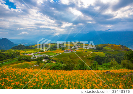 Taiwan Hualien Fuli Sixty Stone Mountain Golden Needle Flower Asia Taiwan Hualien Mountains Taiwan Hualien Fuli Sixty Stone Mountain Golden Needle Flower Asia Taiwan Hualien Mountains 35448576