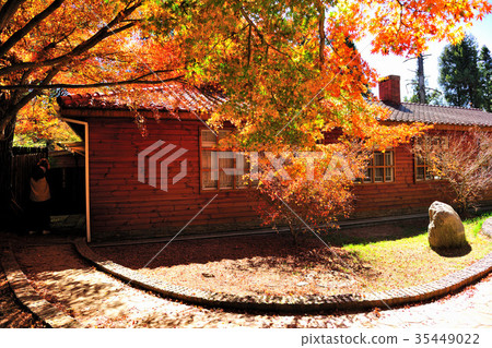 台中市和平區,福壽山,福壽山農場,台灣小瑞士,參山國家風景區,國家風景區,農場,松蘆, 35449022