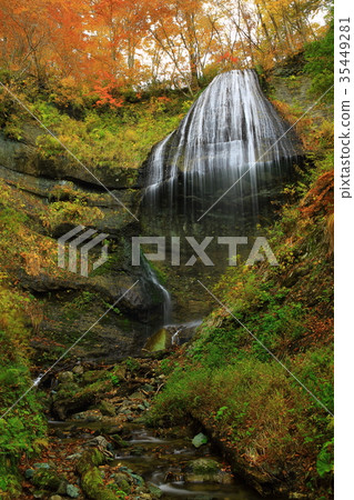 秋葉的Shiraito秋天 35449281