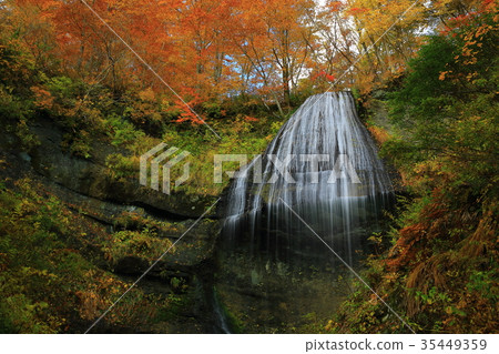 Shiraito Falls of autumn leaves Shiraito Falls of autumn leaves 35449359