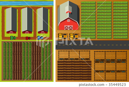 Farm view from the top with vegetables and barns Farm view from the top with vegetables and barns 35449523