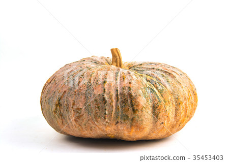 pumpkin  isolated on white background 35453403