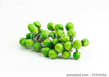 Solanum torvum ,Turkey berry   on white background 35453558
