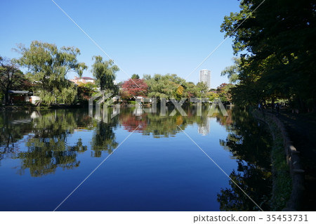 Ishigami park park pond 35453731