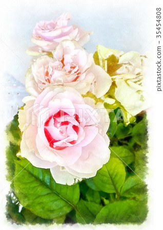 Romantic floral background. Flower. Rose closeup Romantic floral background. Flower. Rose closeup 35454808