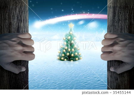 Hand open the door and looking christmas tree 35455144