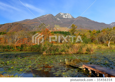 從池塘平坦的蠑螈池塘看到的Ieyama的秋葉 35456354
