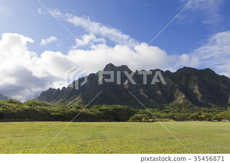 Quarro亞利桑那公園,Quarro大農場,奧阿胡島,夏威夷,美國 Quarro亞利桑那公園,Quarro大農場,奧阿胡島,夏威夷,美國 35456871