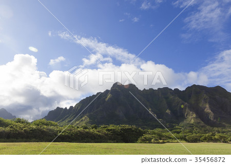 Quarro亞利桑那公園,Quarro大農場,奧阿胡島,夏威夷,美國 Quarro亞利桑那公園,Quarro大農場,奧阿胡島,夏威夷,美國 35456872