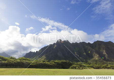 Quarro亞利桑那公園,Quarro大農場,奧阿胡島,夏威夷,美國 Quarro亞利桑那公園,Quarro大農場,奧阿胡島,夏威夷,美國 35456873