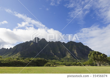 Quarro亞利桑那公園,Quarro大農場,奧阿胡島,夏威夷,美國 Quarro亞利桑那公園,Quarro大農場,奧阿胡島,夏威夷,美國 35456874