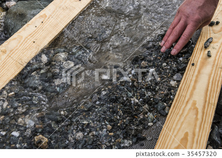 Emerald Search with Siev 35457320