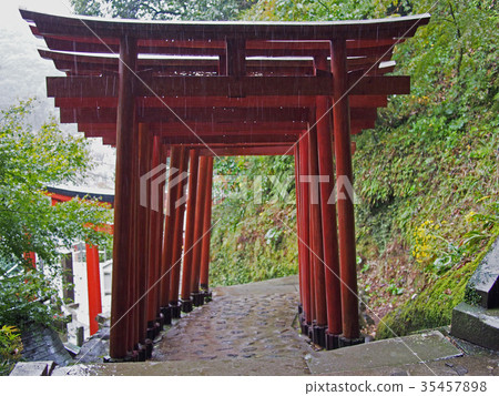 Torii in the rain 35457898