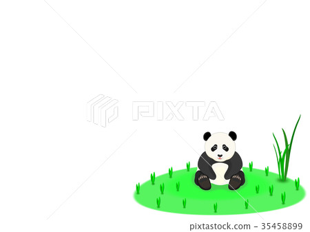 Child panda 35458899