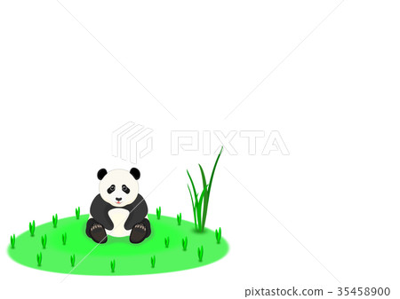 Child panda 35458900
