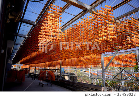 志保村 志保村 35459028