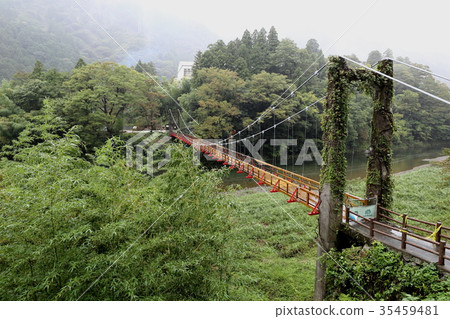 Suspension bridge in love-1 (Kuze, Kamogawa Town, Gifu Prefecture) Suspension bridge in love-1 (Kuze, Kamogawa Town, Gifu Prefecture) 35459481
