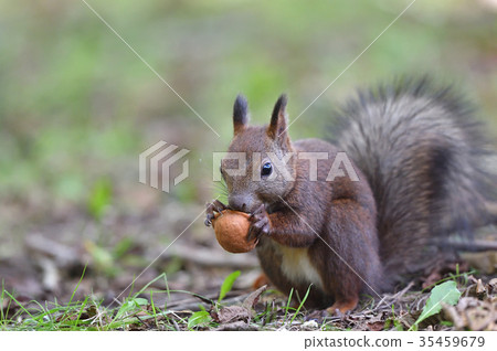 Eating Eating 35459679