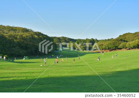 Yokohama - Negishi Forest Park 35460052