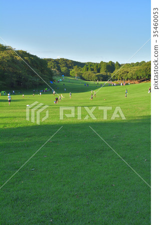 Yokohama - Negishi Forest Park 35460053