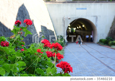 Yokohama · Toyoko flower green road Yokohama · Toyoko flower green road 35460210
