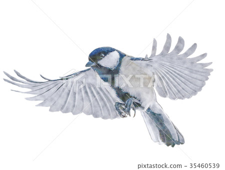 Great tit Japanese tit watercolor 35460539