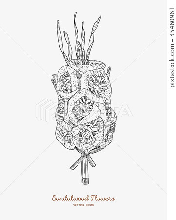 Sandalwood flowers for funeral Sandalwood flowers for funeral 35460961