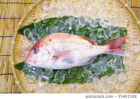 食品配料 35461388