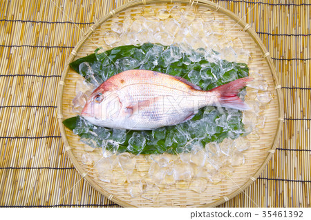 Food ingredients 35461392