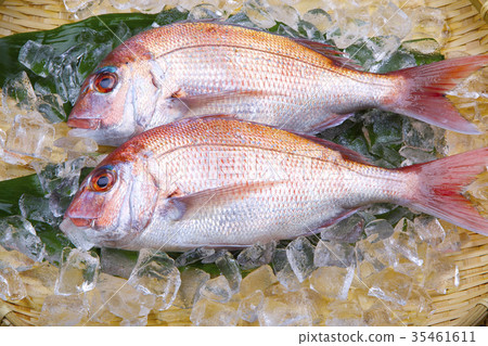 食品配料 35461611