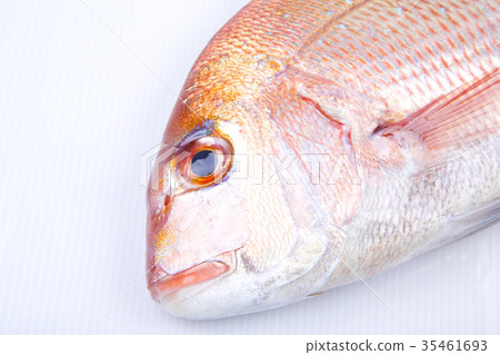 食品配料 食品配料 35461693