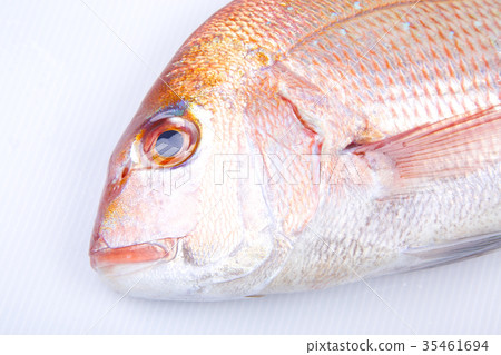 食品配料 35461694