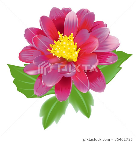 Beautiful Blooming Pink Exotic Flower 35461755