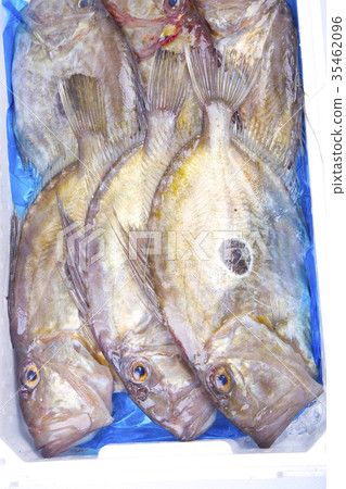 Food ingredients Food ingredients 35462096