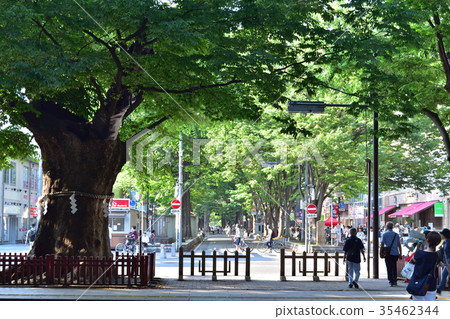 府中和Daikokutama神社前的風景 府中和Daikokutama神社前的風景 35462344