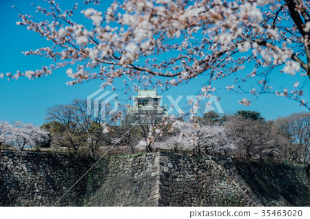Osaka Castle Osaka Castle 35463020