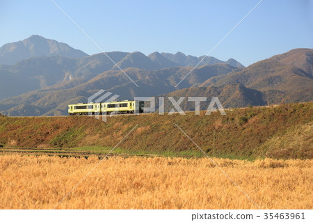 Late autumn Koumi Line 35463961