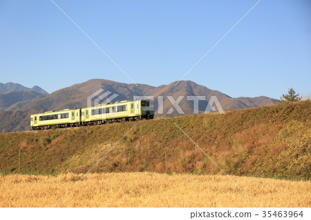Late autumn Koumi Line 35463964